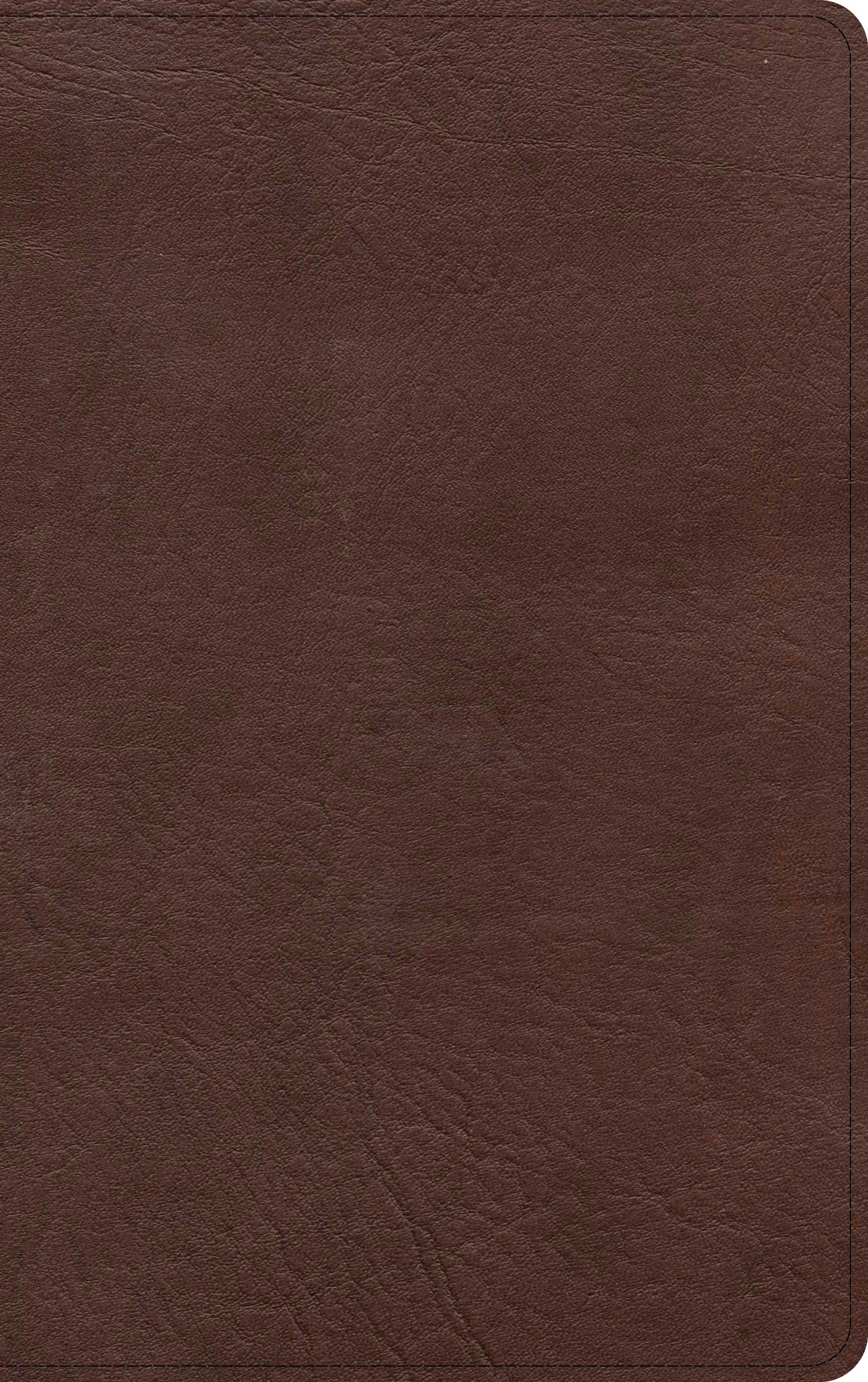 KJV Single-Column Personal Size Bible, Black/Brown - Re-vived