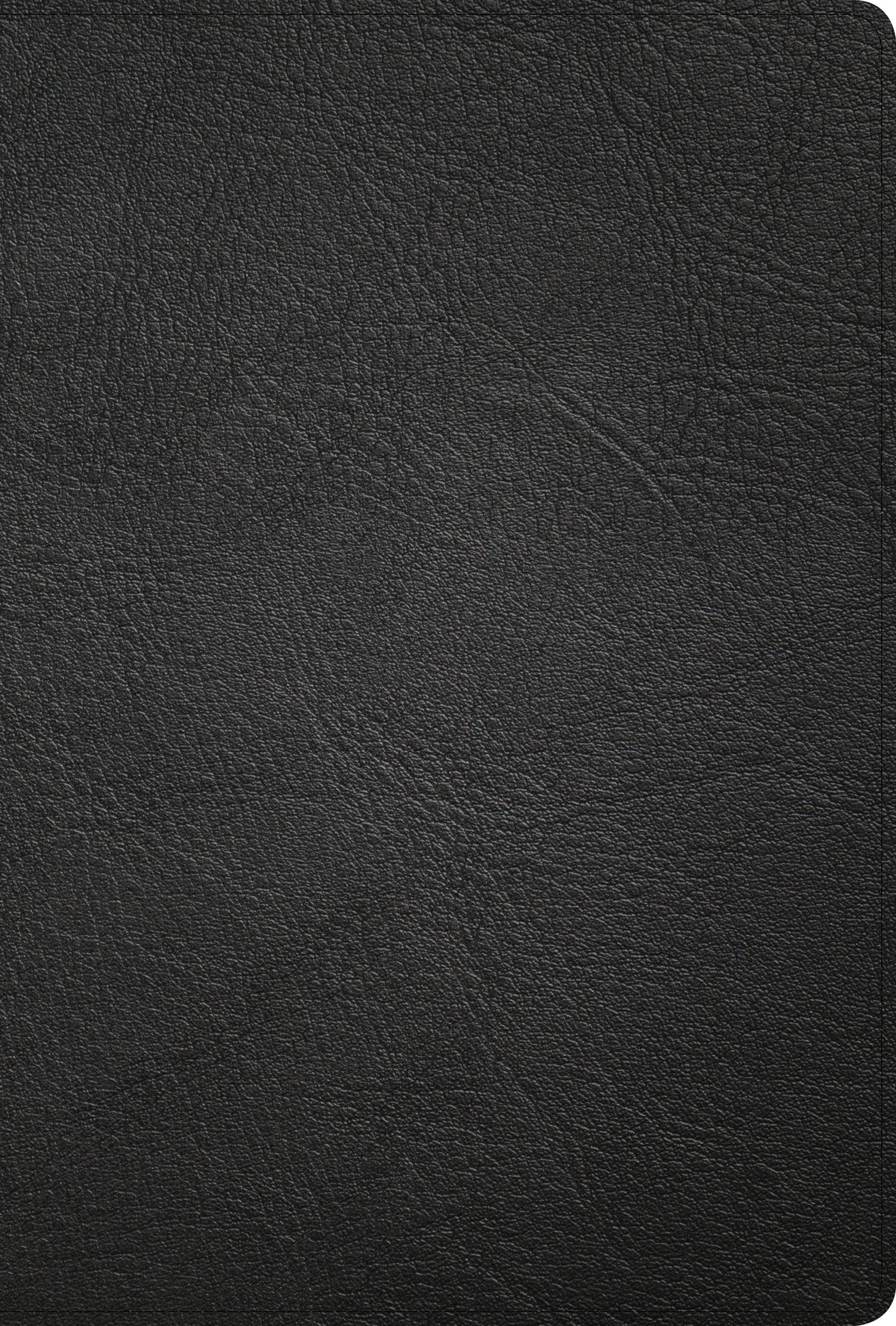 KJV Large Print Ultrathin Reference Bible, Black - Re-vived