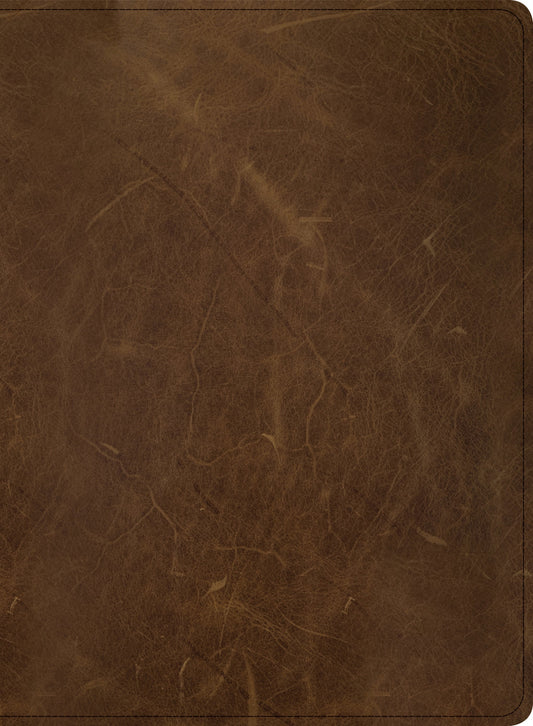 CSB Men of Character Bible, Brown Genuine Leather - Re-vived