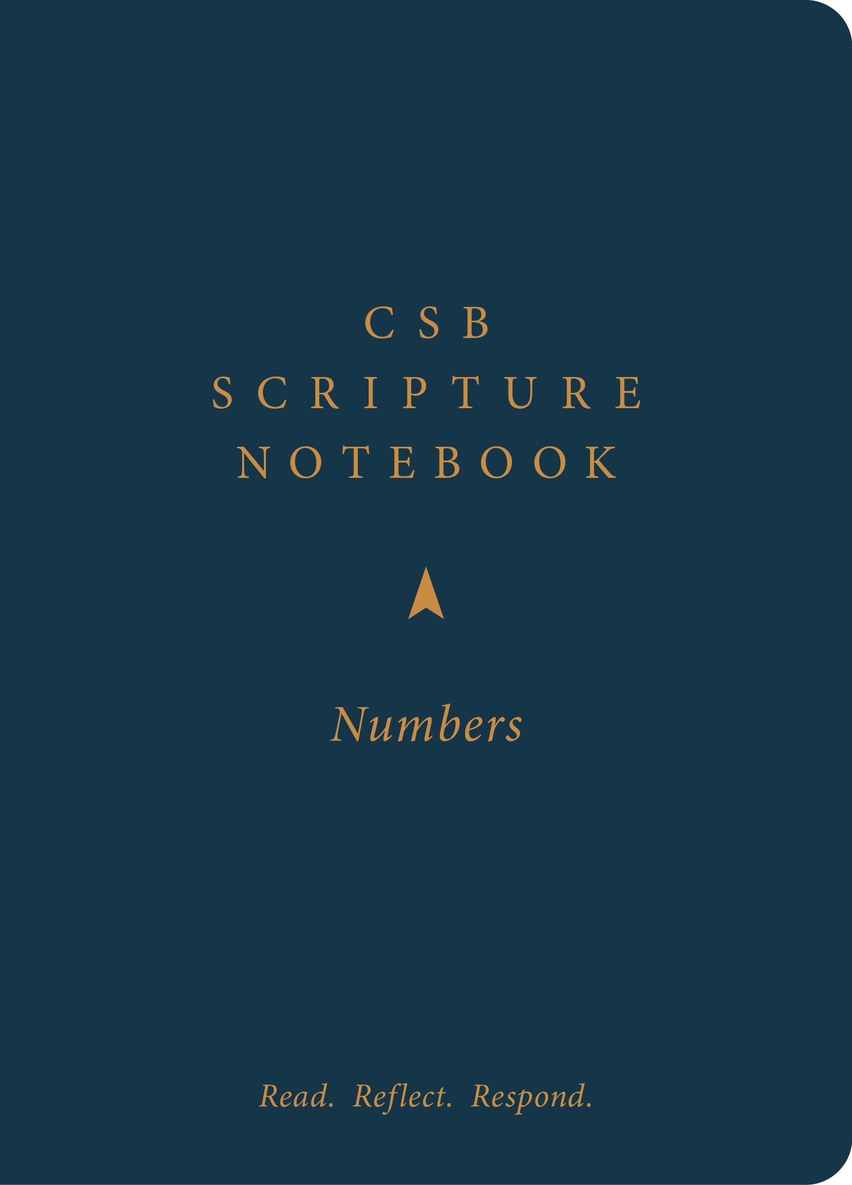 CSB Scripture Notebook, Numbers - Re-vived