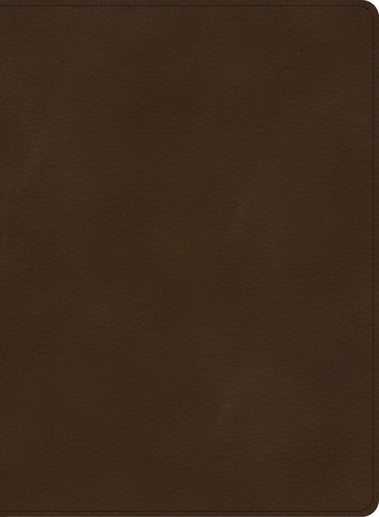CSB Single-Column Wide-Margin Bible, Brown LeatherTouch - Re-vived