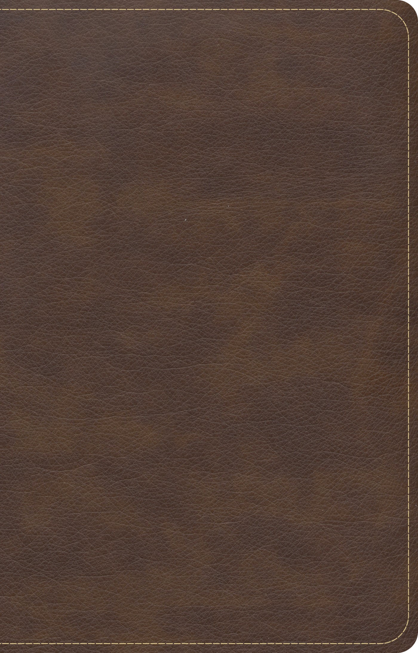 CSB Single-Column Compact Bible, Brown - Re-vived