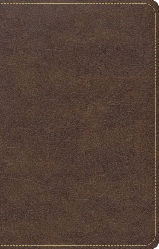 CSB Single-Column Compact Bible, Brown - Re-vived