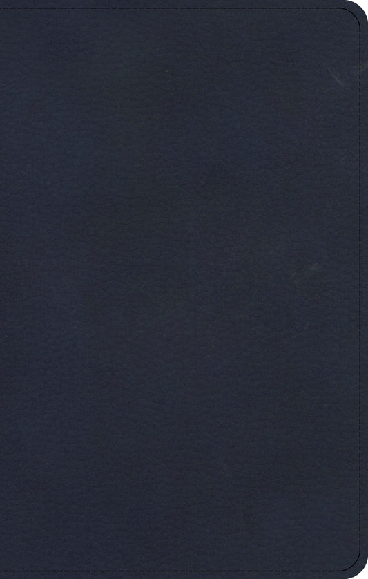 KJV Personal Size Bible, Navy LeatherTouch - Re-vived
