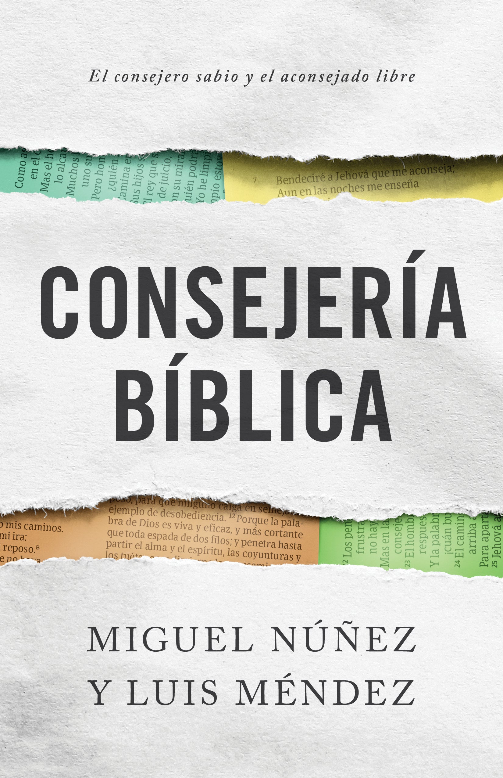 Consejería bíblica (Transformed Into His Image) - Re-vived