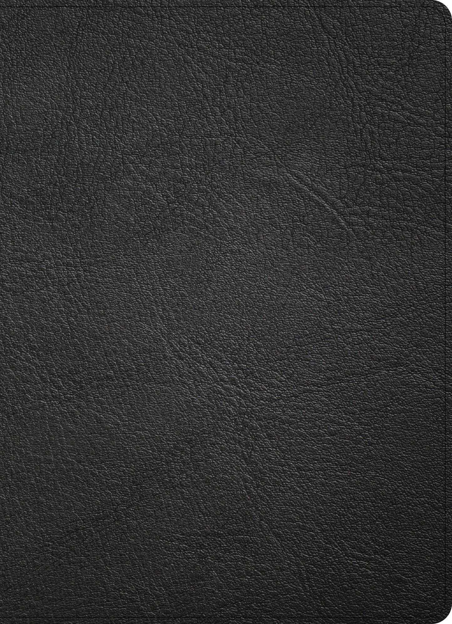 CSB Study Bible, Holman Handcrafted Collection, Premium Black - Re-vived