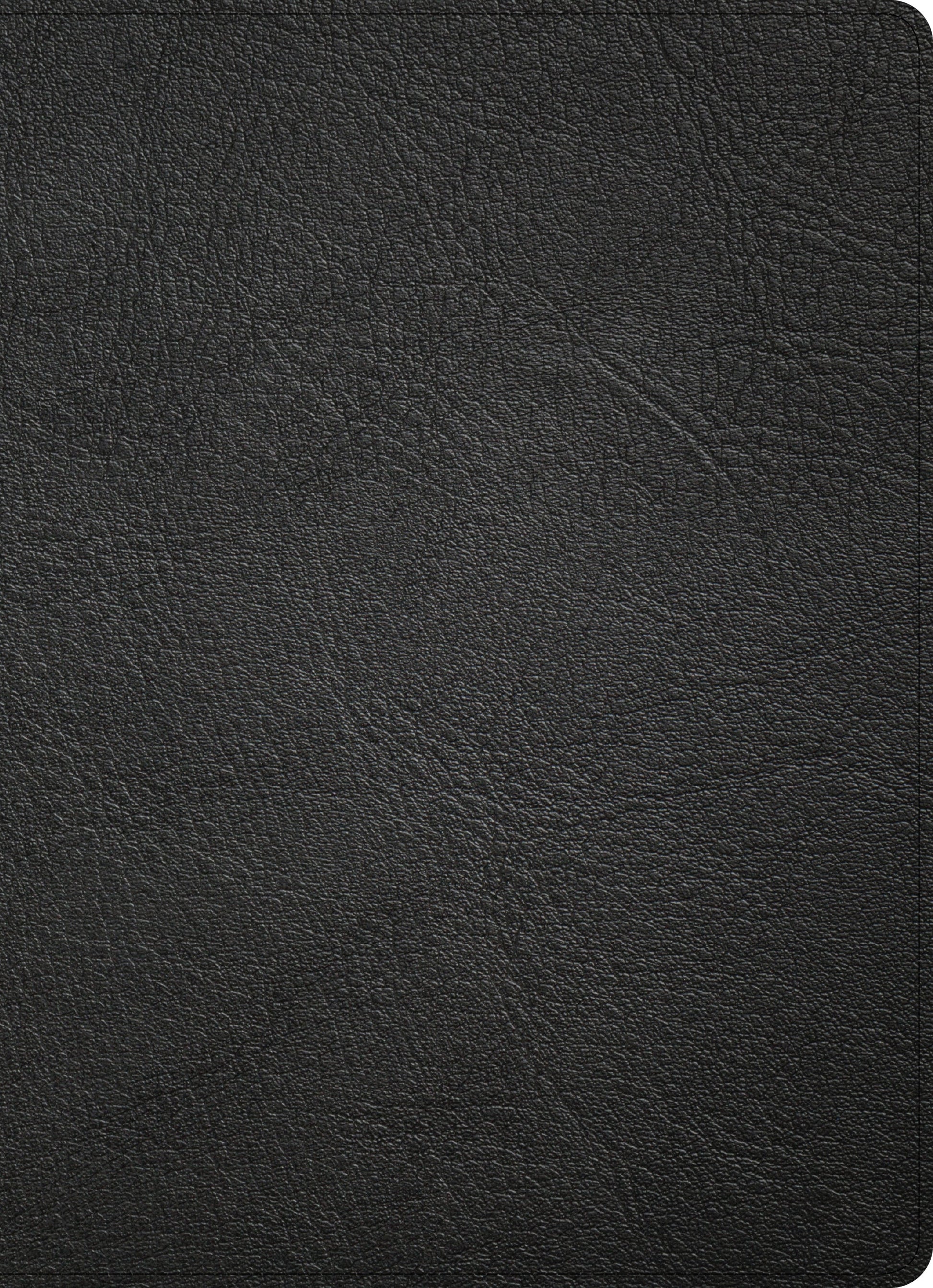 CSB Study Bible, Holman Handcrafted Collection, Premium Black - Re-vived