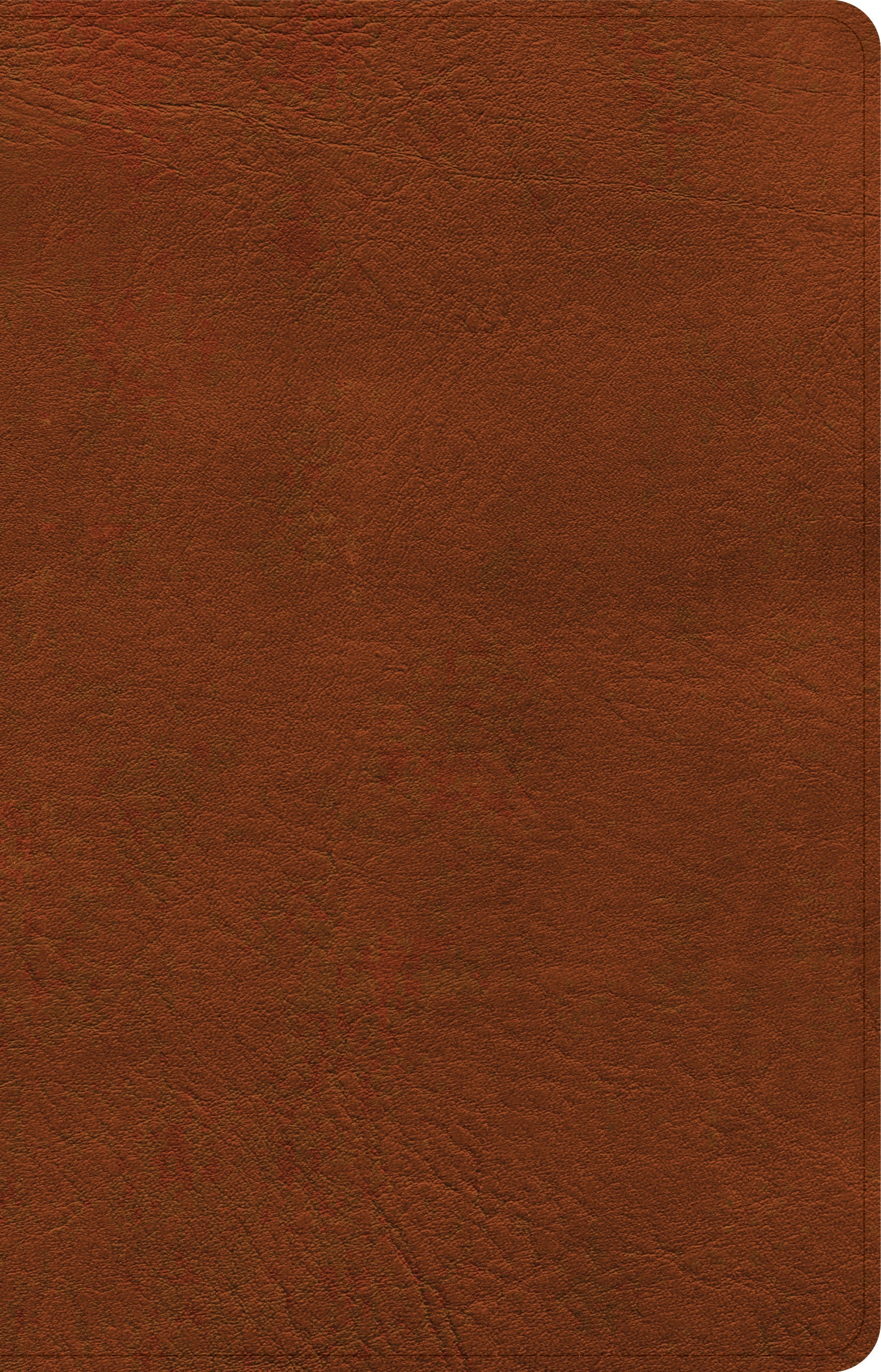 NASB Large Print Personal Size Reference Bible, Burnt Sienna - Re-vived