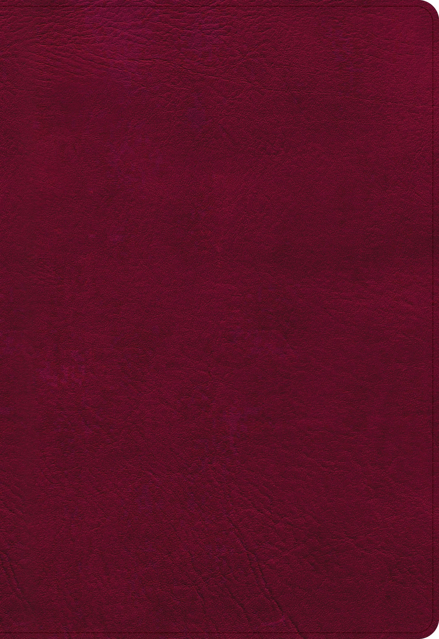 NASB Super Giant Print Reference Bible, Burgundy - Re-vived