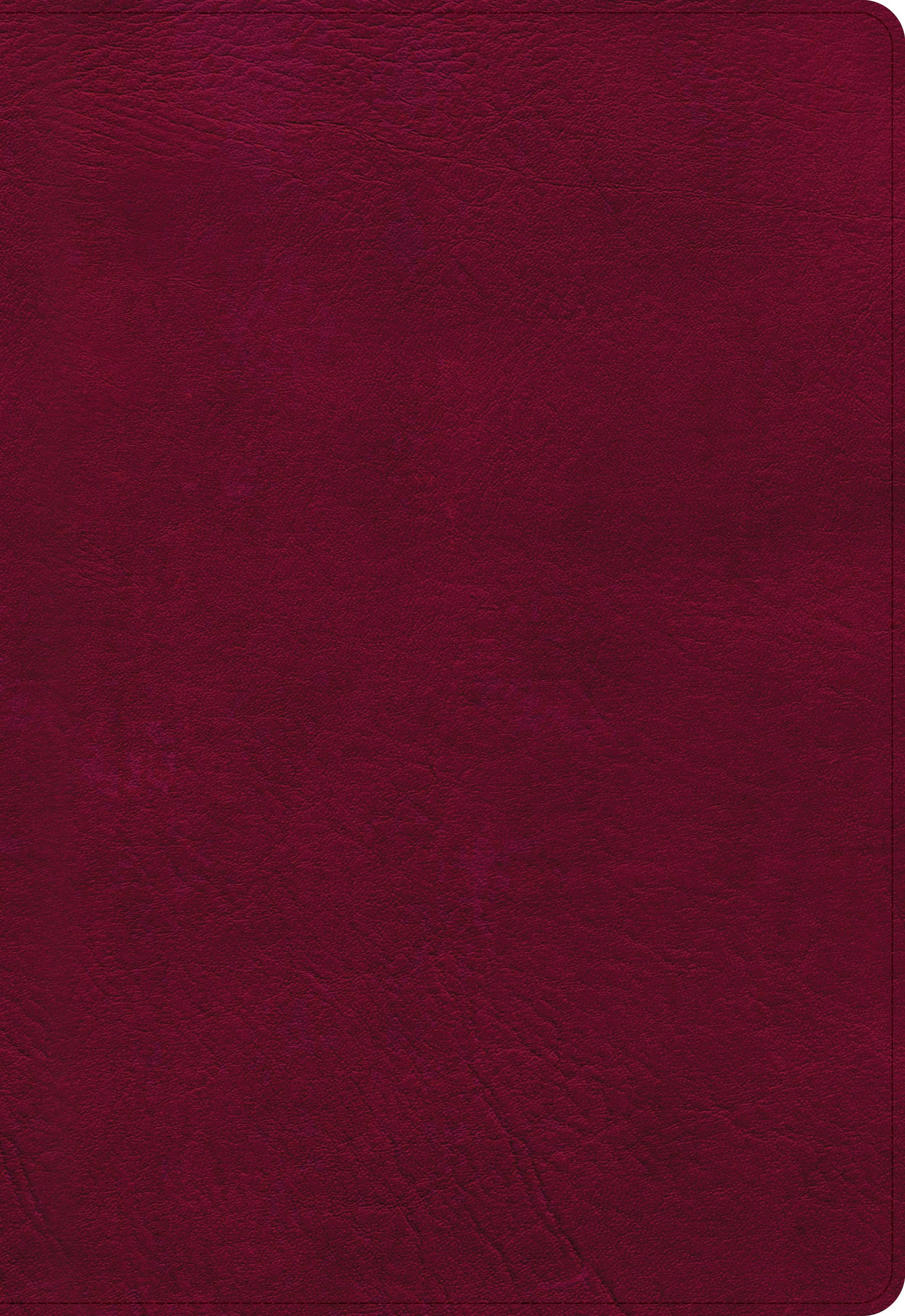 NASB Super Giant Print Reference Bible, Burgundy - Re-vived