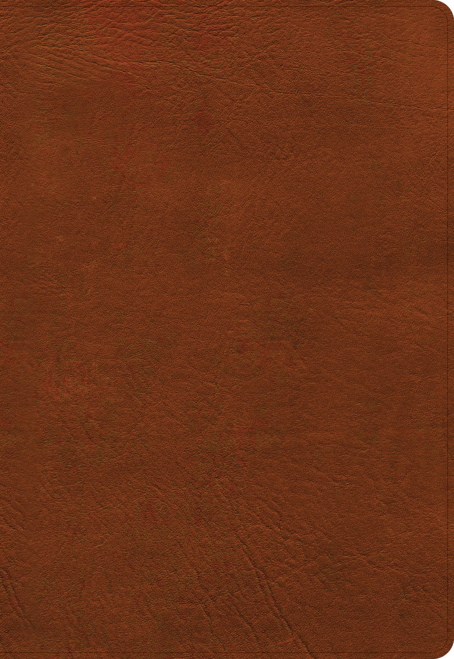 NASB Super Giant Print Reference Bible, Burnt Sienna - Re-vived