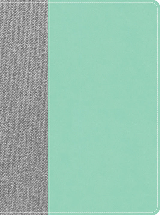 CSB Lifeway Women's Bible, Gray/Mint LeatherTouch - Re-vived