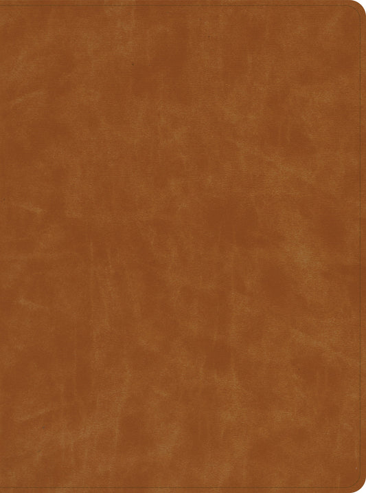 CSB Lifeway Women's Bible, Butterscotch Genuine Leather, Ind - Re-vived