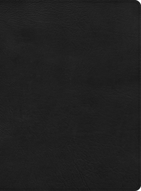 CSB Apologetics Study Bible, Black LeatherTouch - Re-vived