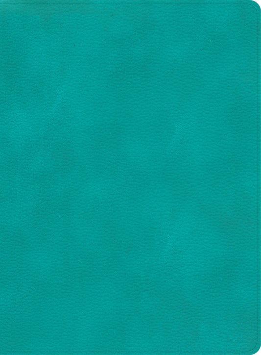 CSB Apologetics Study Bible, Teal LeatherTouch - Re-vived
