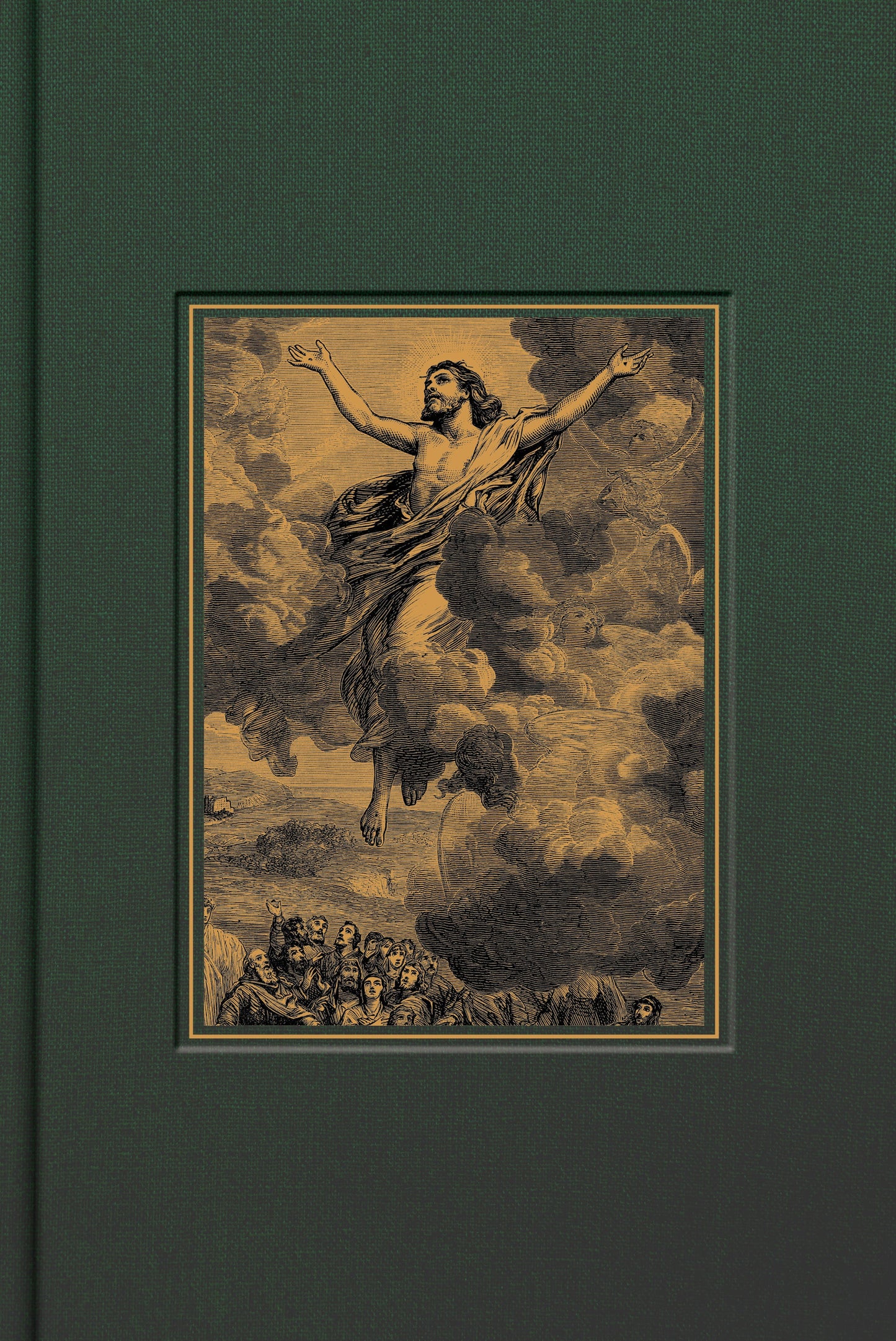 CSB Adorned Bible, Forest Cloth-Over-Board - Re-vived
