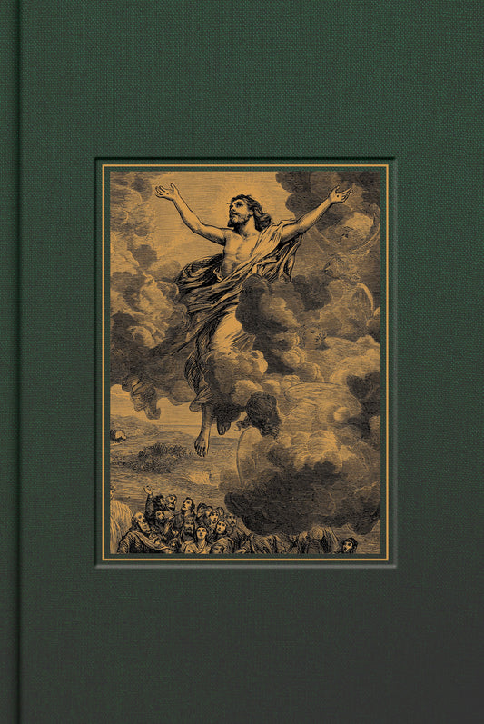 CSB Adorned Bible, Forest Cloth-Over-Board - Re-vived