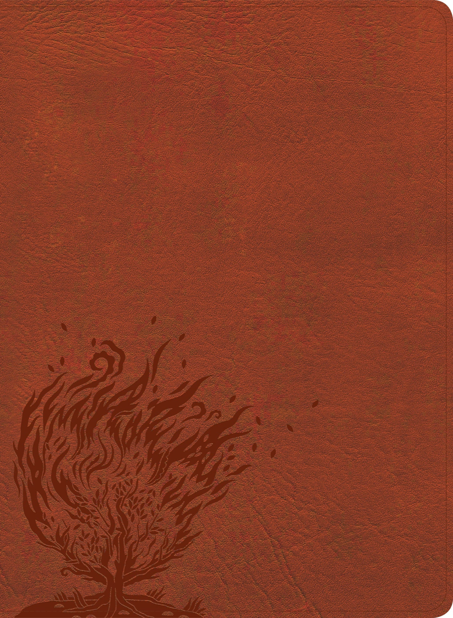 CSB Experiencing God Bible, Burnt Sienna, Indexed - Re-vived