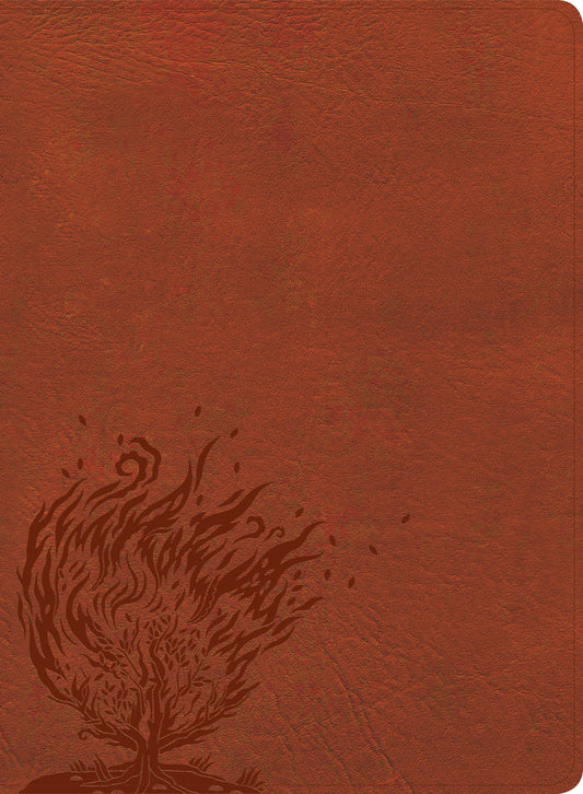 CSB Experiencing God Bible, Burnt Sienna, Indexed - Re-vived
