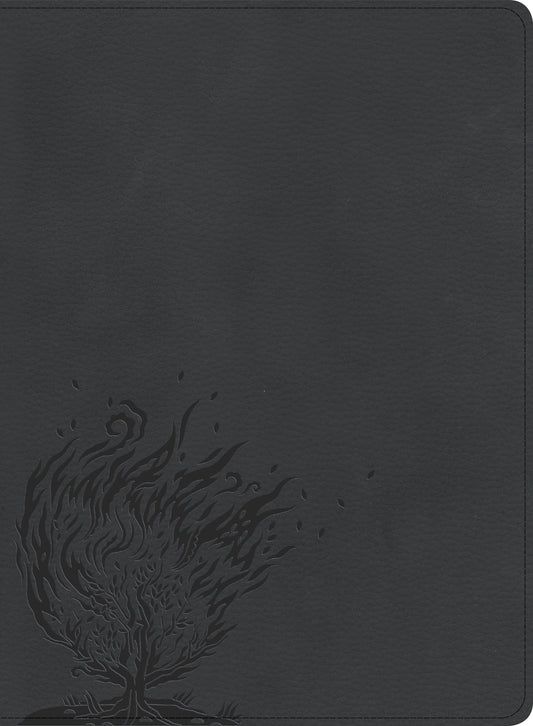 CSB Experiencing God Bible, Charcoal LeatherTouch, Indexed - Re-vived