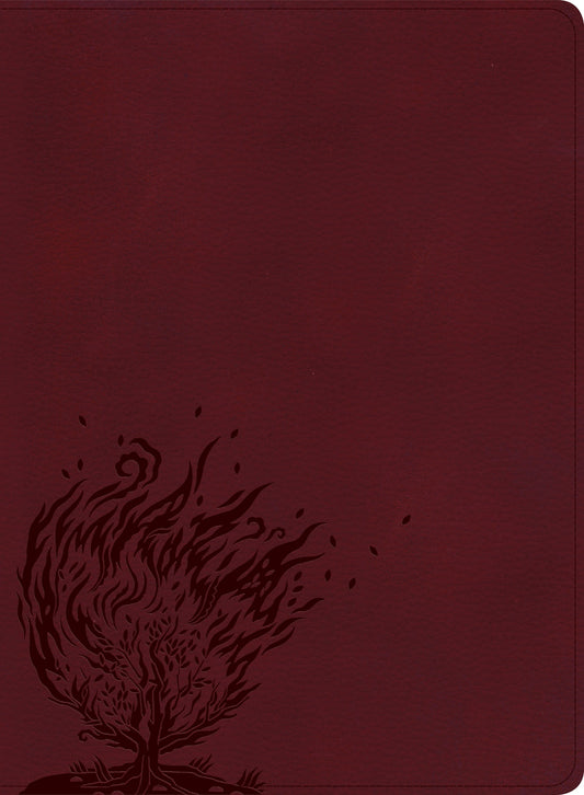 CSB Experiencing God Bible, Burgundy LeatherTouch, Indexed - Re-vived
