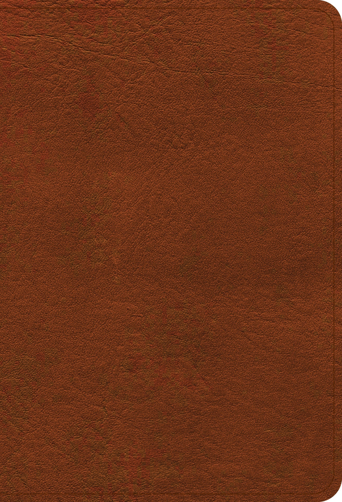 NASB Large Print Compact Reference Bible, Burnt Sienna - Re-vived