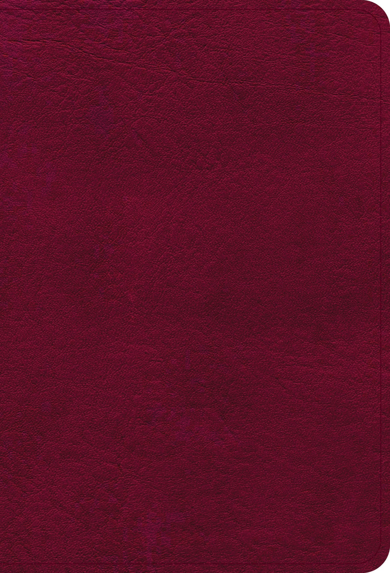 NASB Large Print Compact Reference Bible, Burgundy - Re-vived
