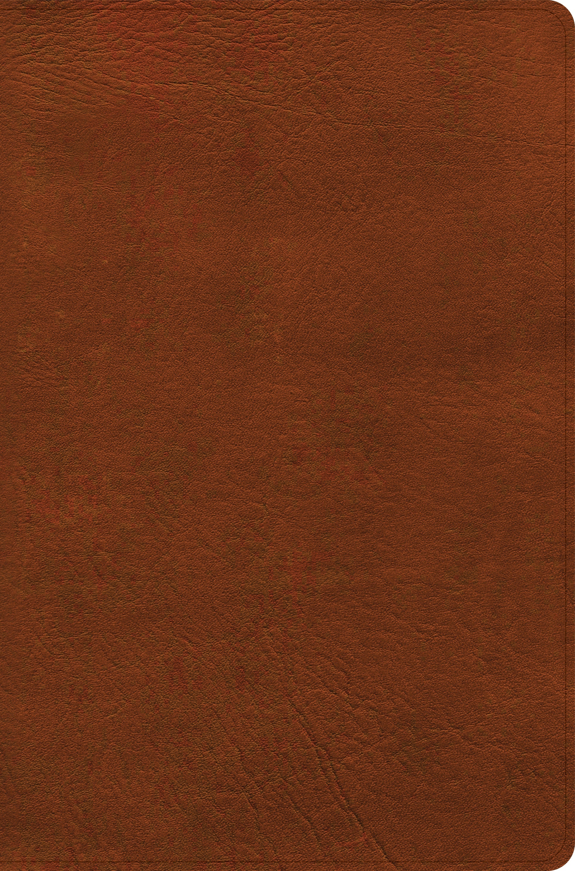 NASB Giant Print Reference Bible, Burnt Sienna LeatherTouch - Re-vived