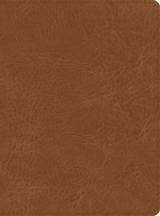 CSB He Reads Truth Bible, Saddle LeatherTouch - Re-vived