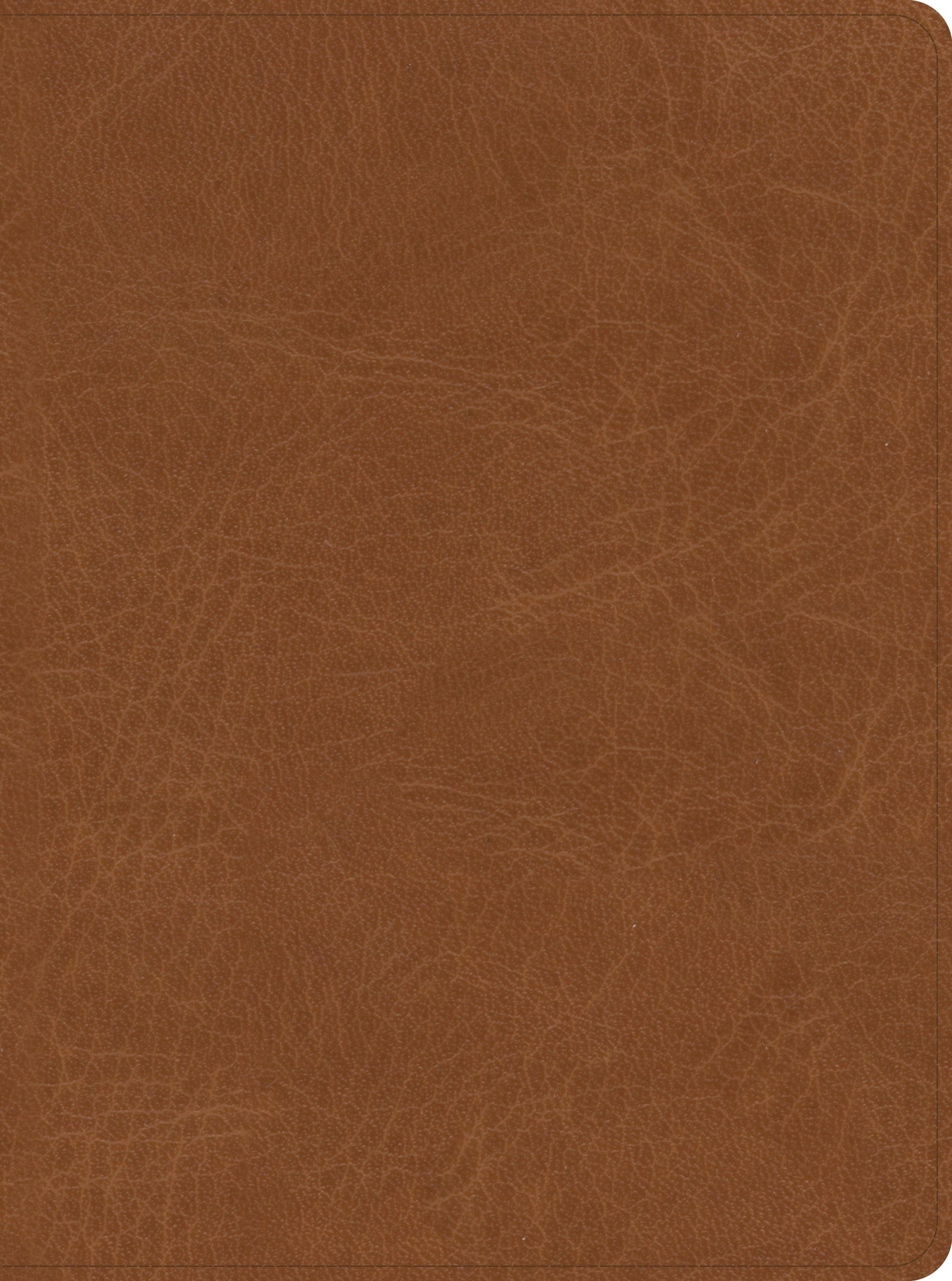 CSB He Reads Truth Bible, Saddle LeatherTouch, Indexed - Re-vived