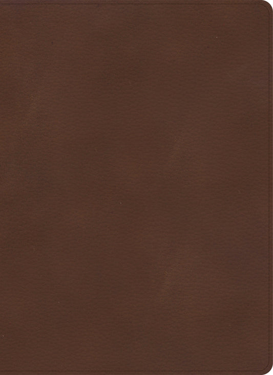 KJV Single-Column Wide-Margin Bible, Brown LeatherTouch - Re-vived