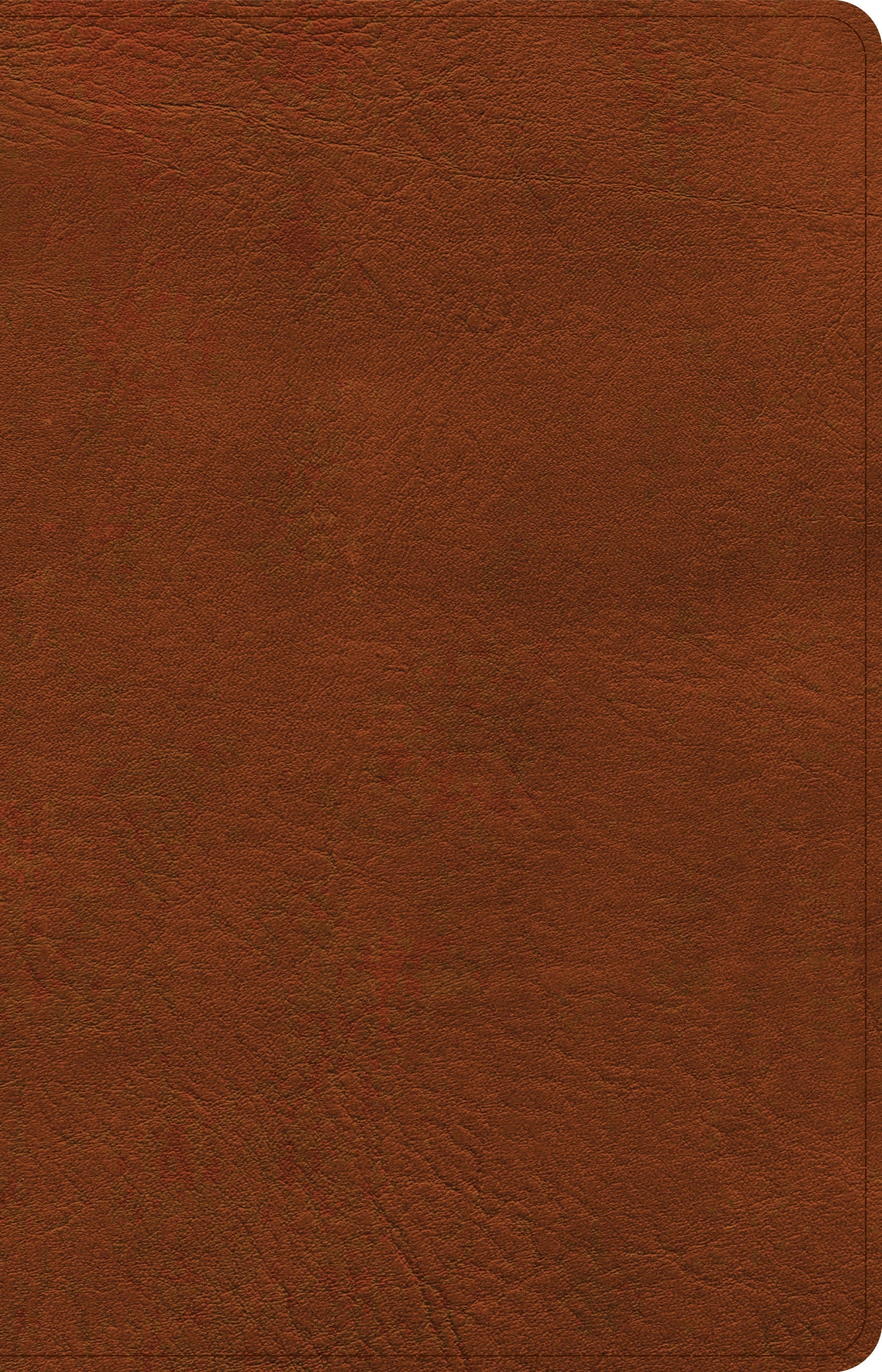 CSB Thinline Reference Bible, Burnt Sienna LeatherTouch - Re-vived