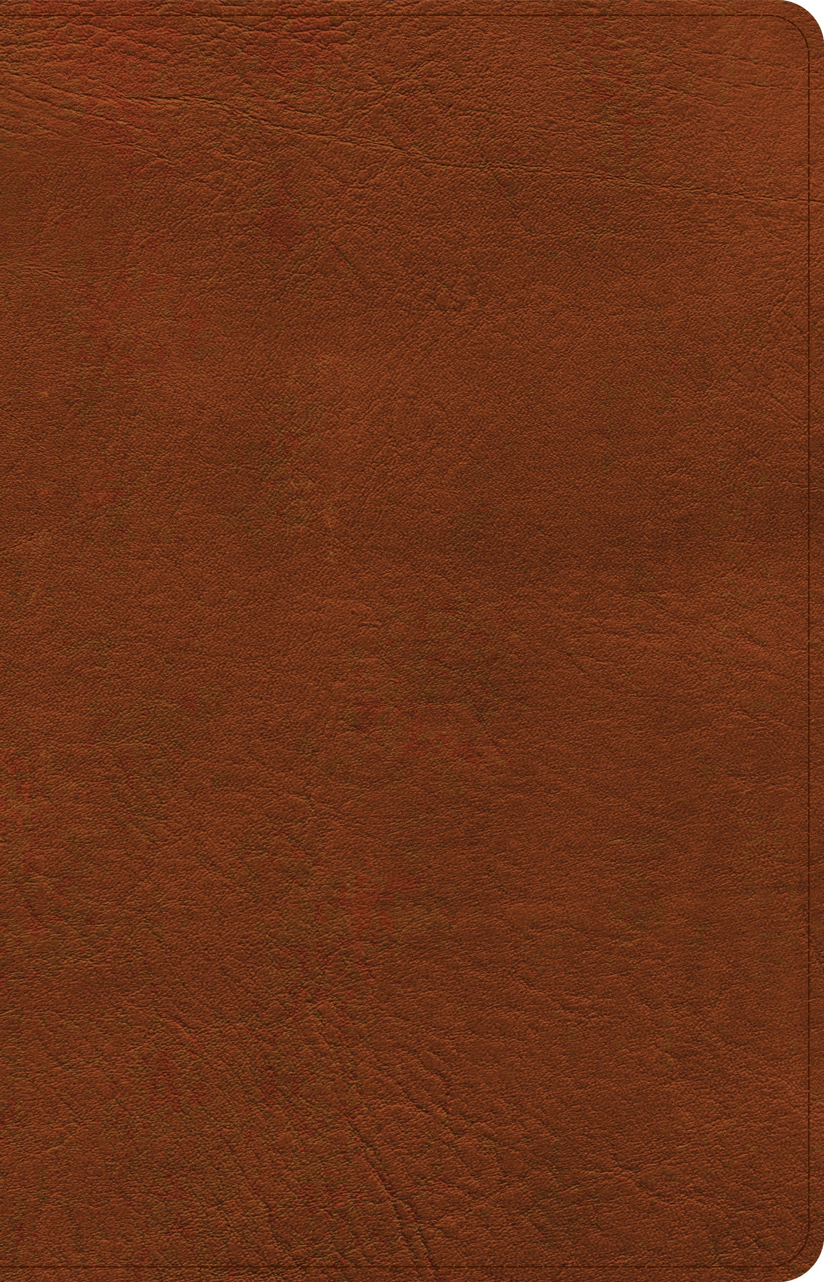 CSB Thinline Reference Bible, Burnt Sienna LeatherTouch - Re-vived