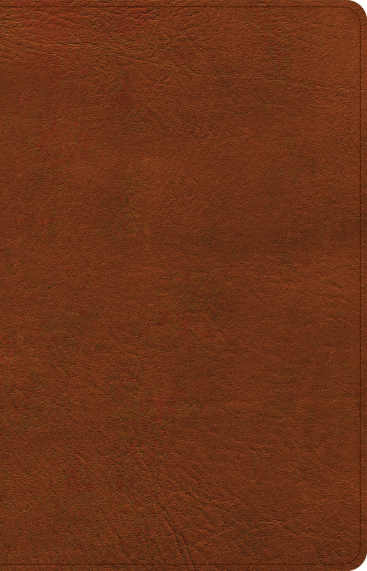 CSB Thinline Reference Bible, Burnt Sienna LeatherTouch - Re-vived