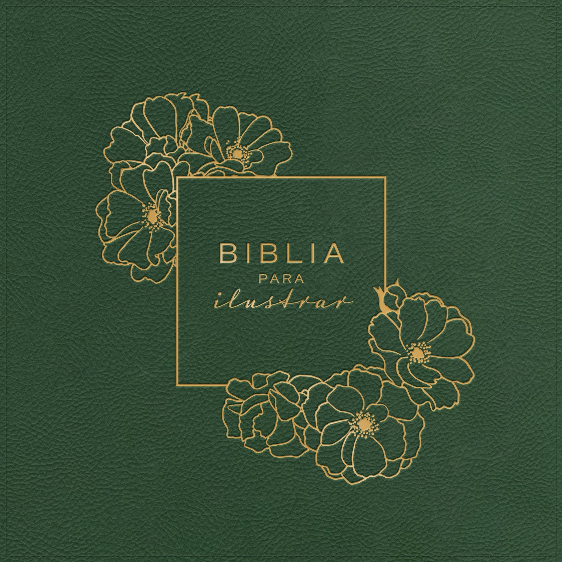 RVR 1960 Biblia Para Ilustrar, Verde Símil Piel - Re-vived