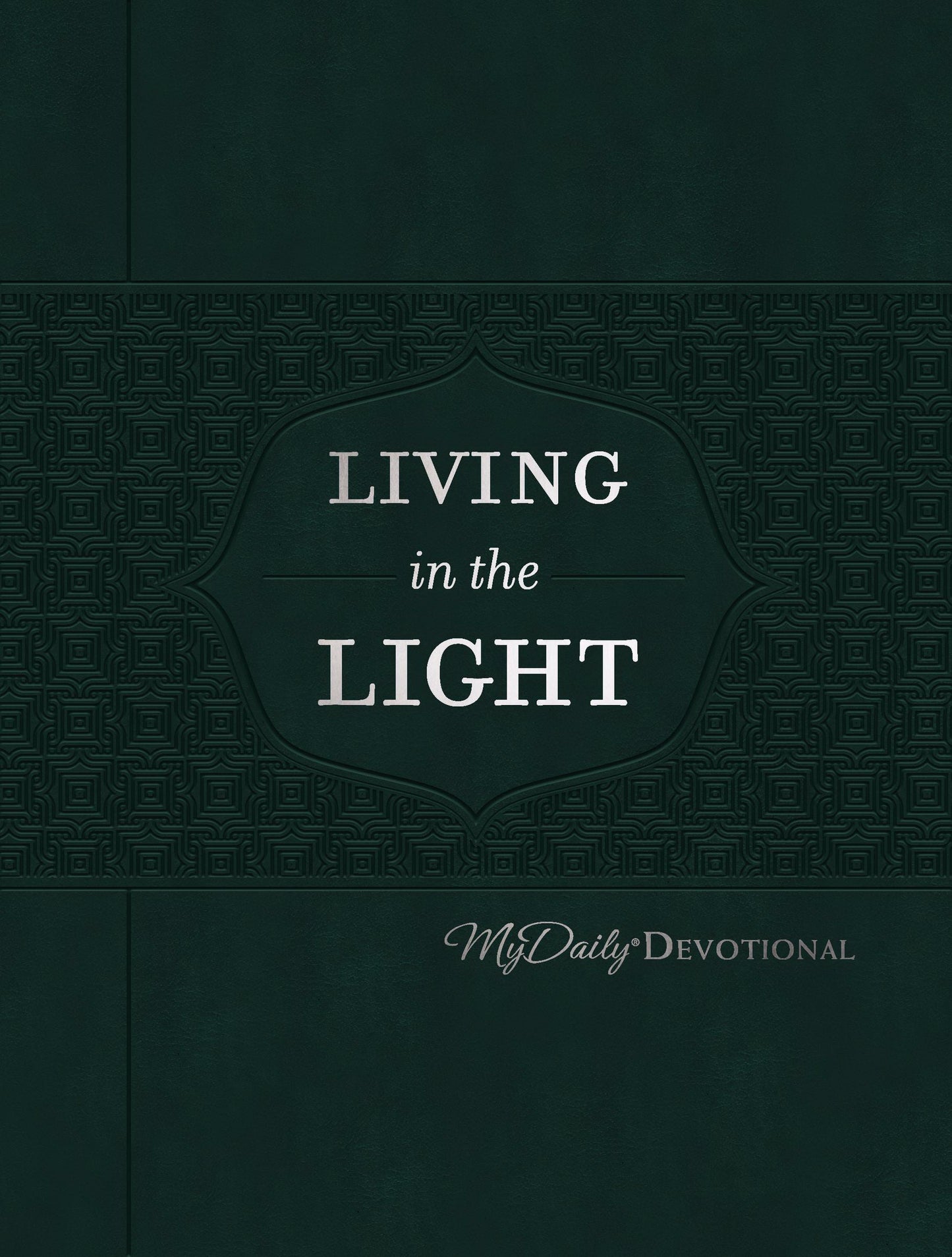 Living In The Light - Re-vived