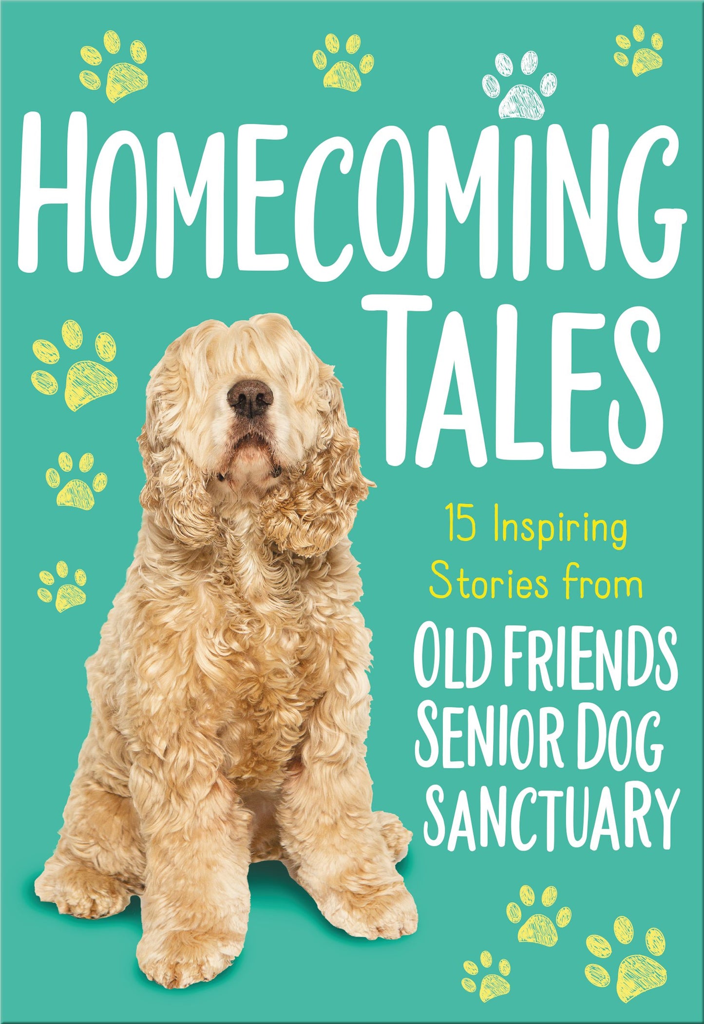 Homecoming Tales - Re-vived
