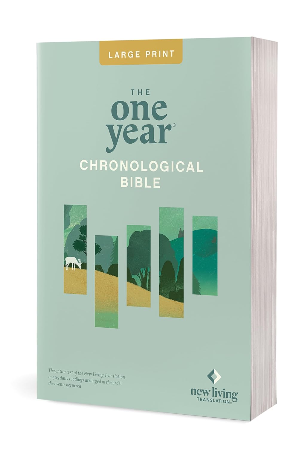 NLT One Year Chronological Bible, Slimline Large Print - Re-vived