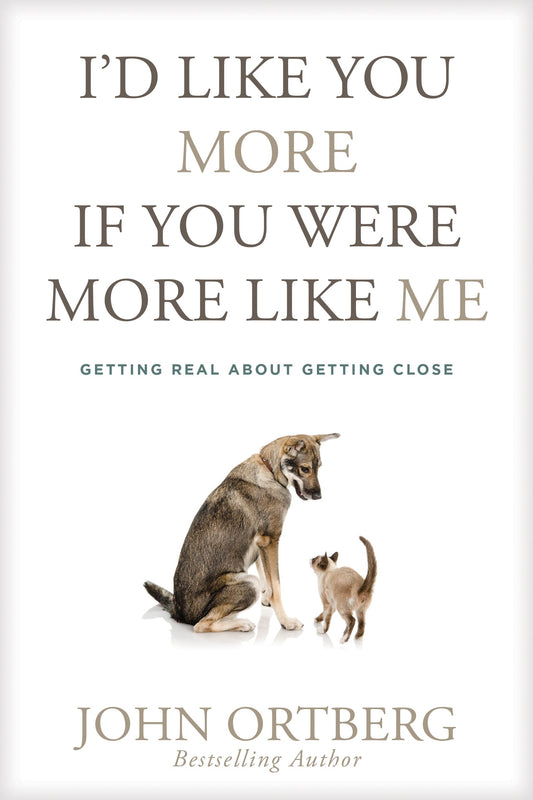 I'd Like You More If You Were More like Me - Re-vived