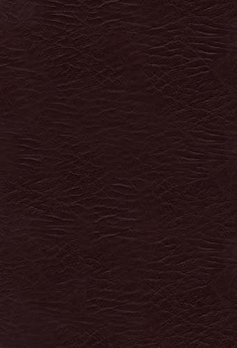 The Woman's Study Bible, NKJV - Re-vived