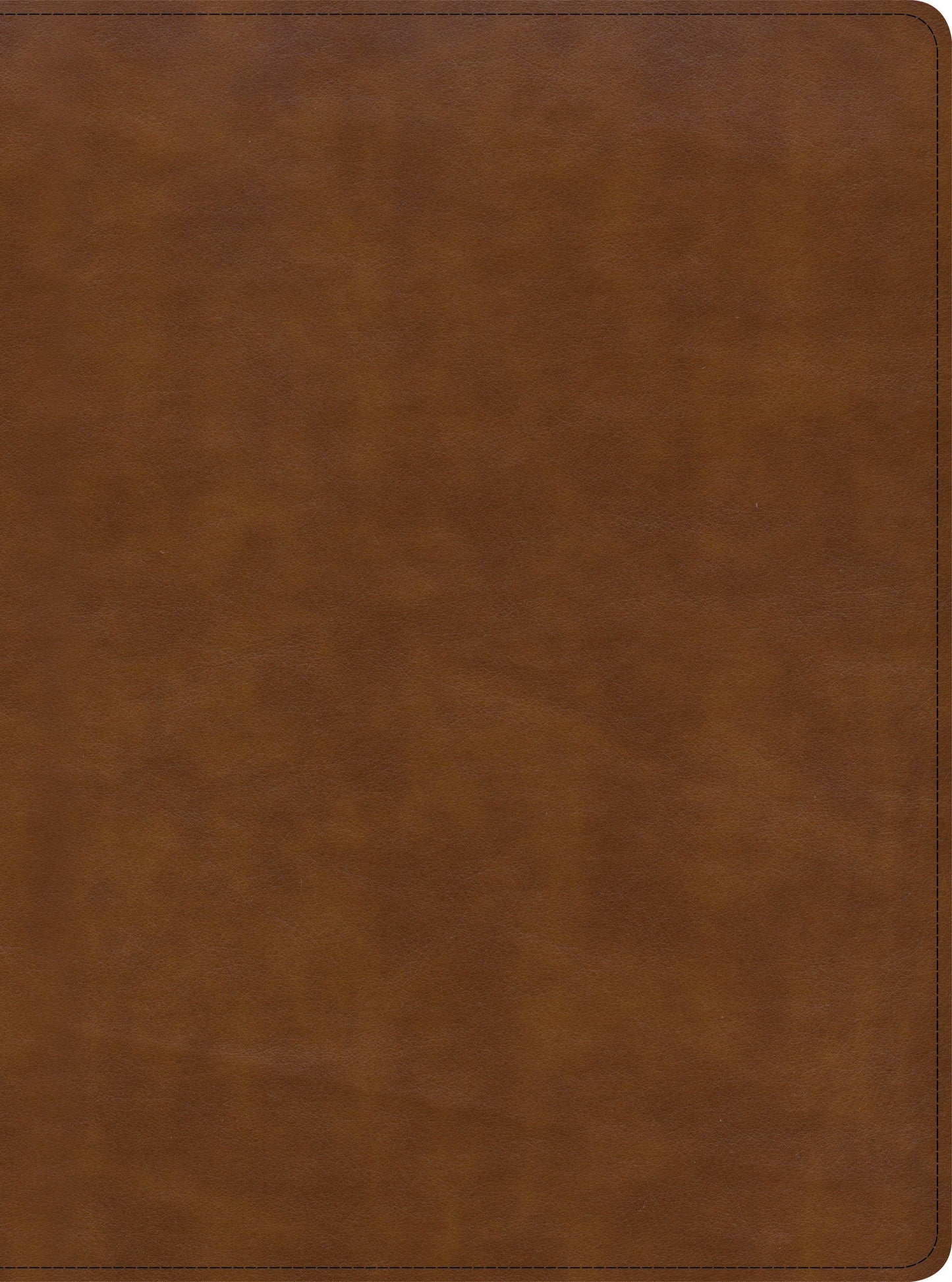CSB Holy Land Illustrated Bible, British Tan LeatherTouch, Indexed - Re-vived