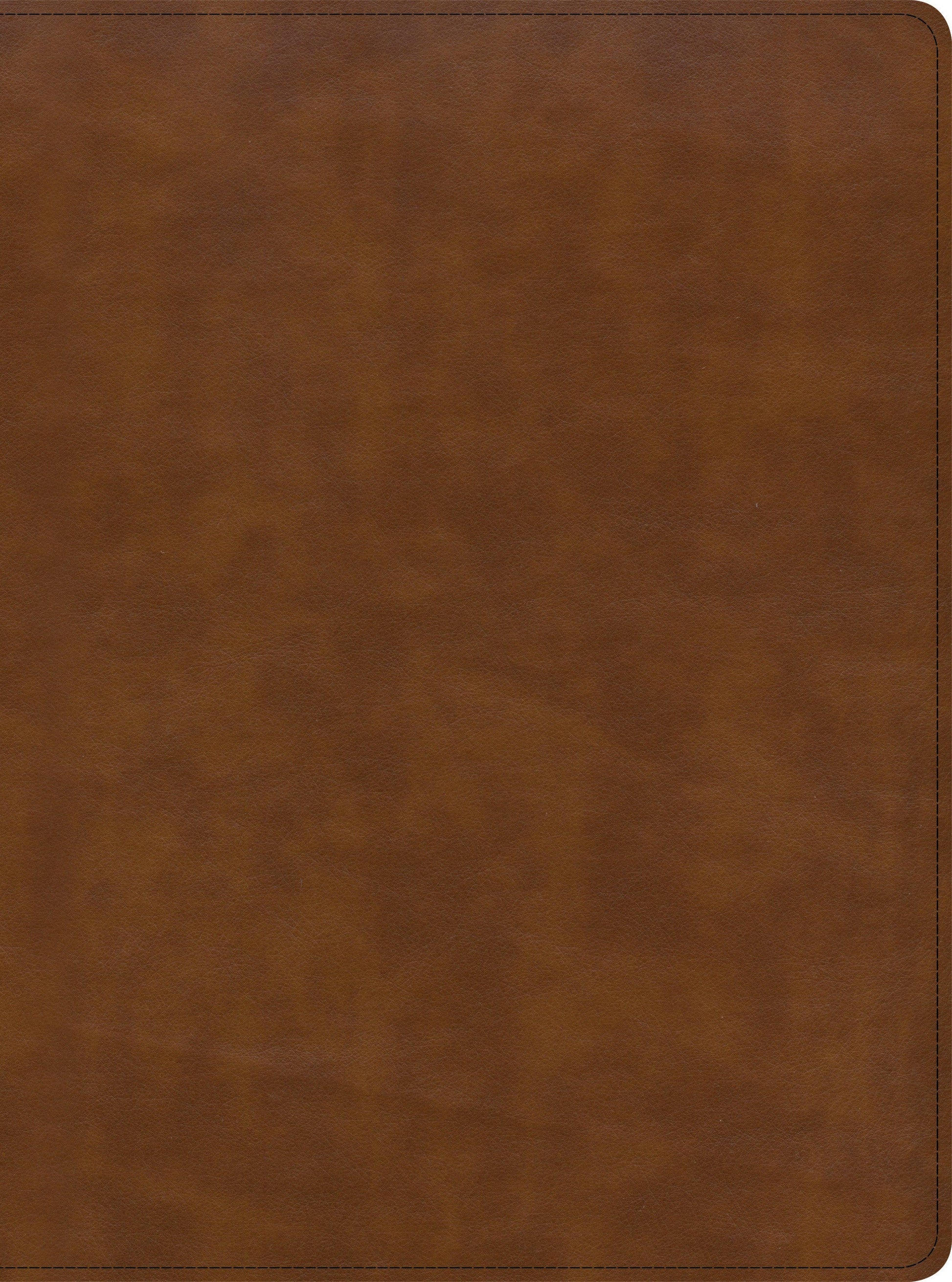 CSB Holy Land Illustrated Bible, British Tan LeatherTouch, Indexed - Re-vived