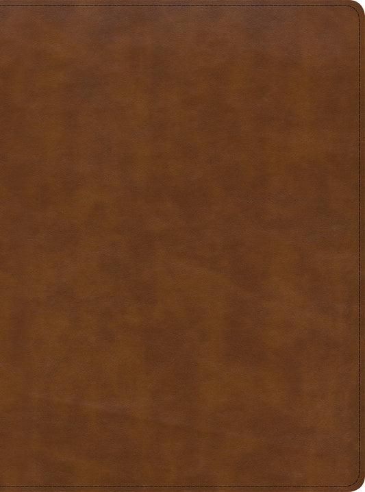 CSB Holy Land Illustrated Bible, British Tan LeatherTouch, Indexed - Re-vived
