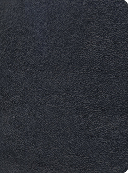 CSB Holy Land Illustrated Bible, Premium Black Genuine Leath - Re-vived