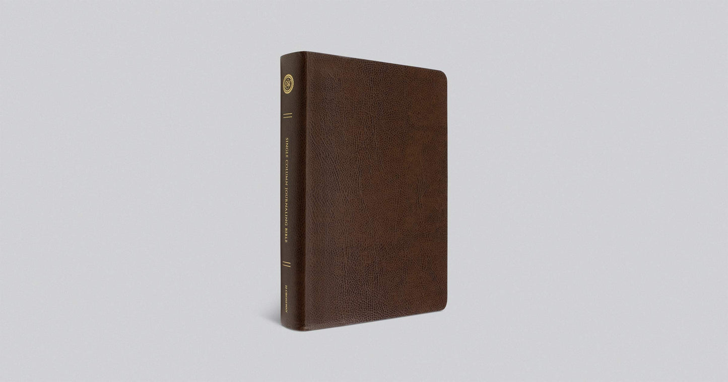 ESV Single Column Journaling Bible, Large Print - Re-vived
