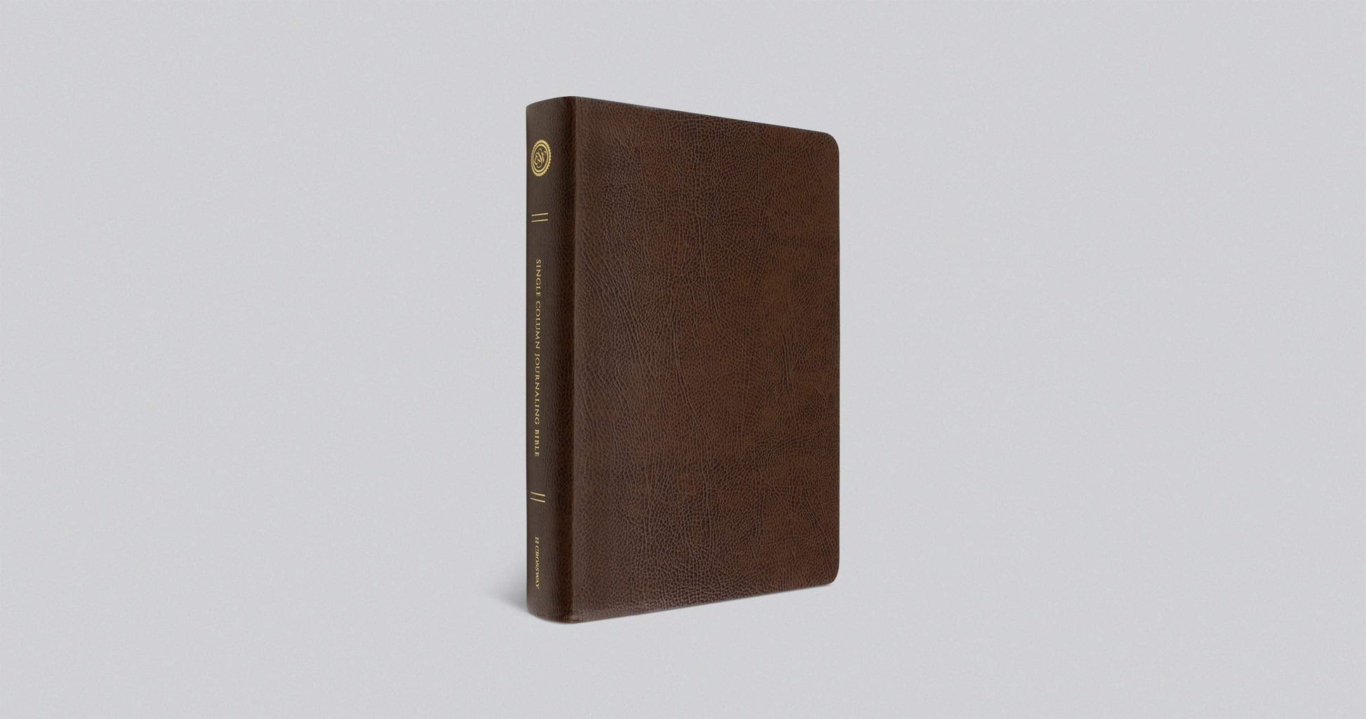 ESV Single Column Journaling Bible, Large Print - Re-vived