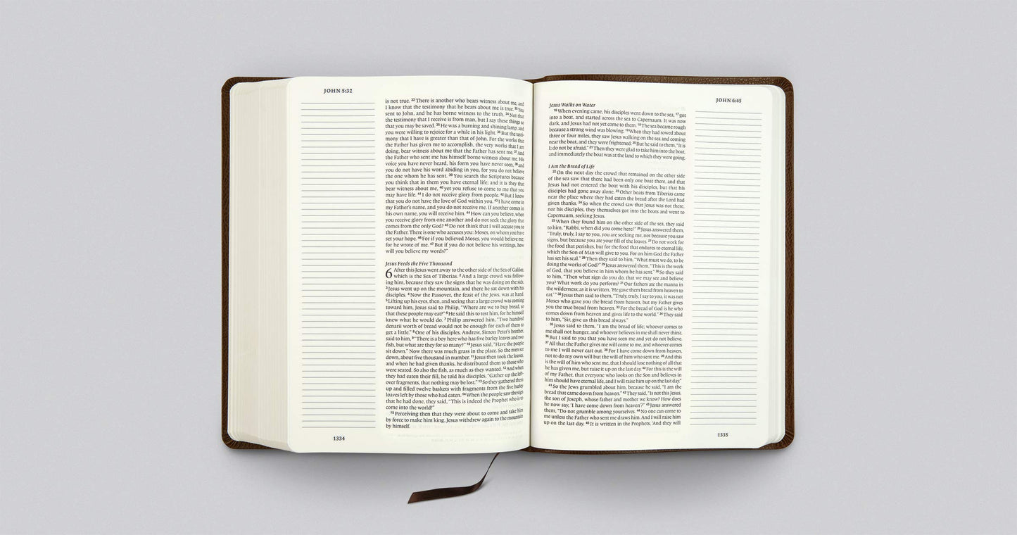 ESV Single Column Journaling Bible, Large Print - Re-vived