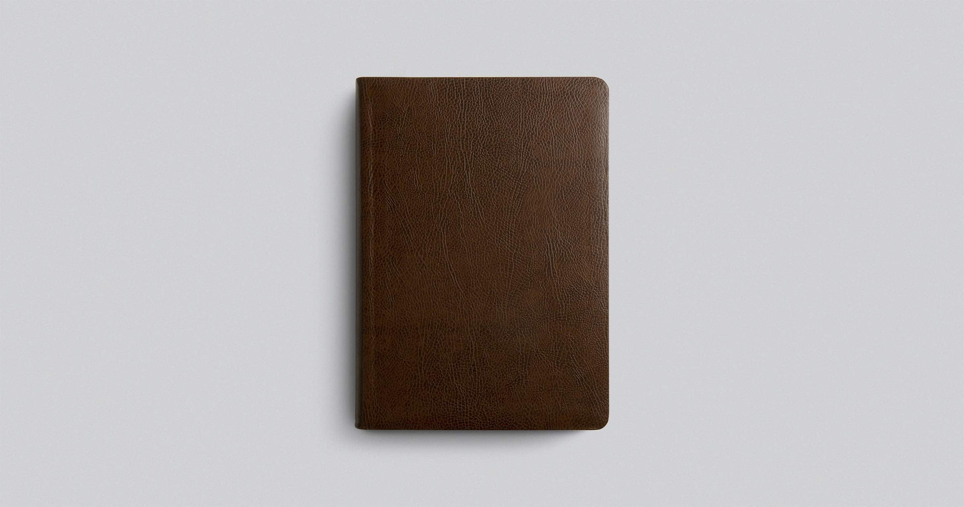ESV Single Column Journaling Bible, Large Print - Re-vived