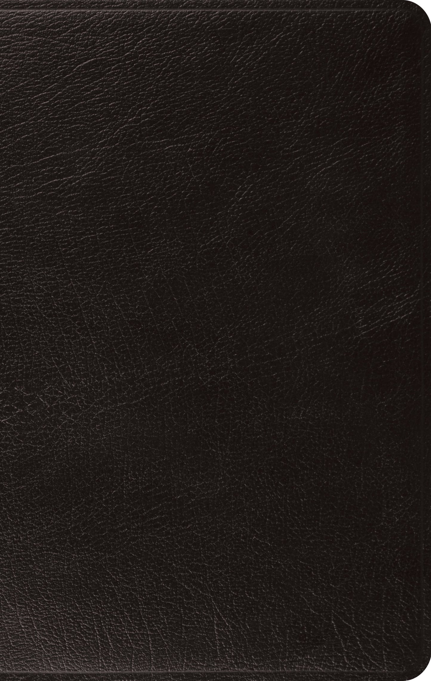 ESV: Large Print, Thinline Bible, Genuine Leather, Black - Re-vived