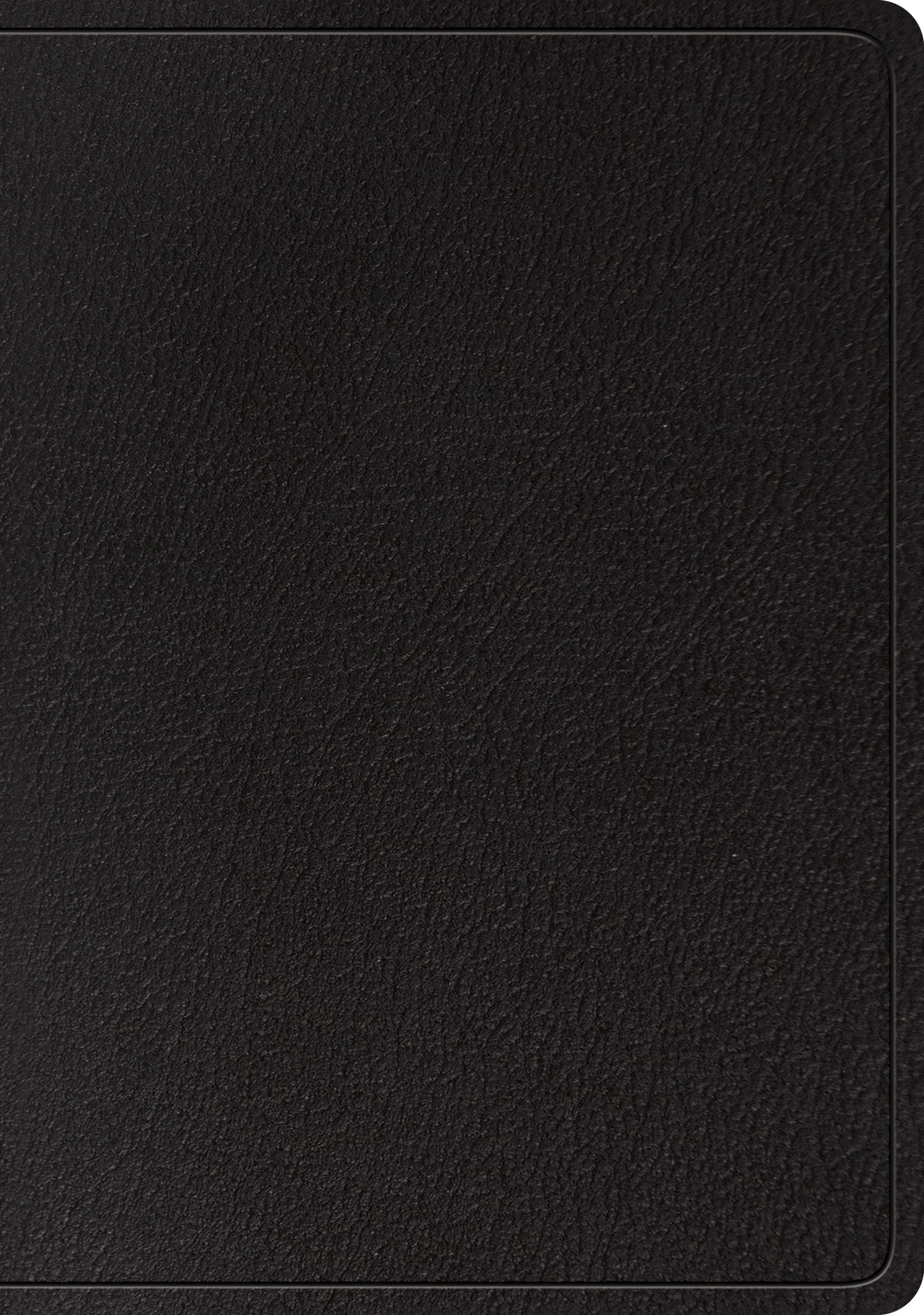 ESV Large Print Wide Margin Bible (Black) - Re-vived